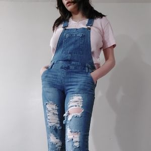 Skinny Overalls